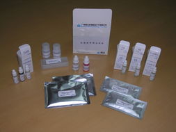 廣州深達(dá)生物制品技術(shù)轉(zhuǎn)讓 探索科技轉(zhuǎn)化與產(chǎn)業(yè)升級(jí)新路徑